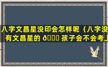 八字文昌星没印会怎样呢（八字没有文昌星的 🐝 孩子会不会考上好的大学）